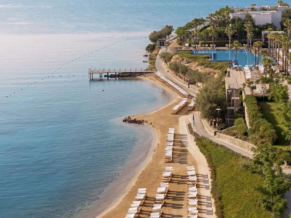Beach & Pool