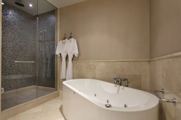Premium Villa